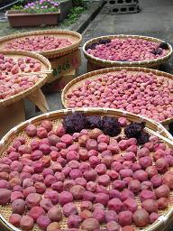 umeboshihiboshi.jpg
